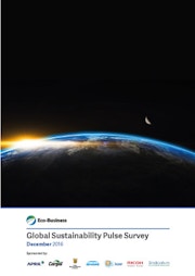 Global Sustainability Pulse Survey