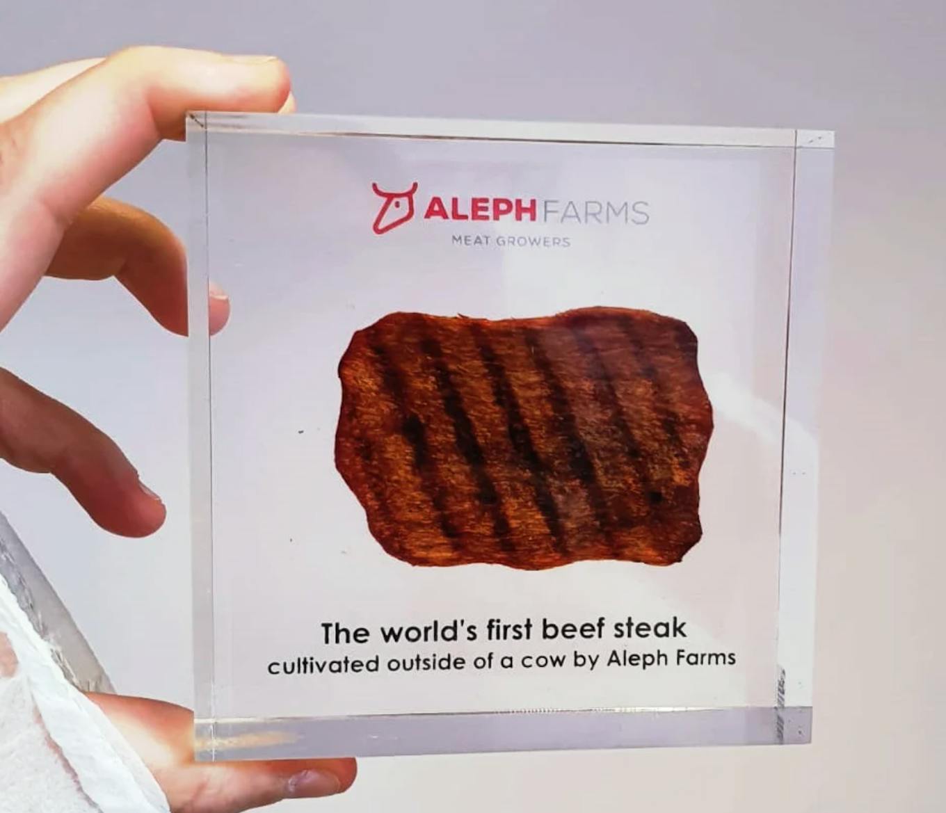 Aleph Cuts' lab-based beef