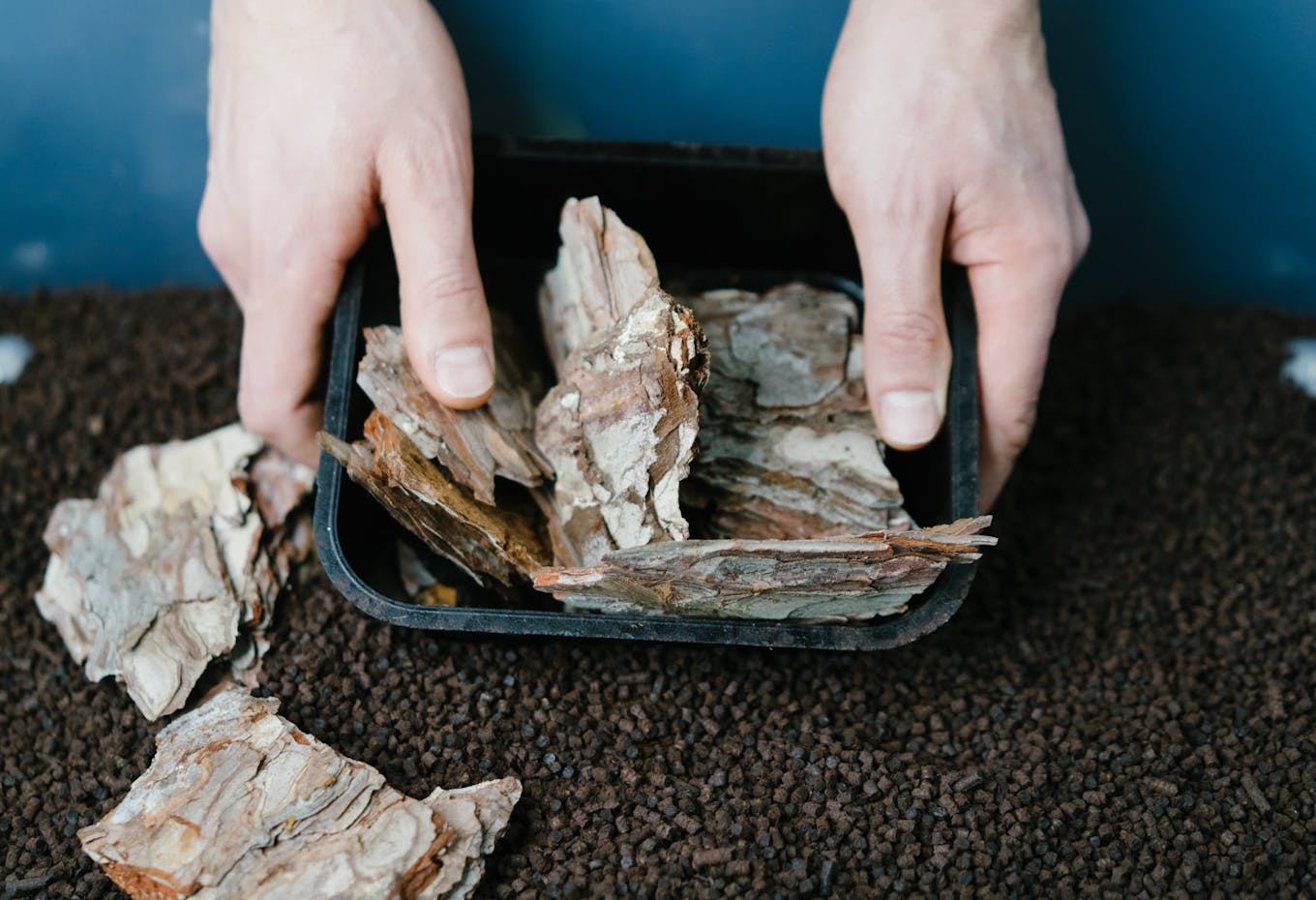 Bark-based packaging